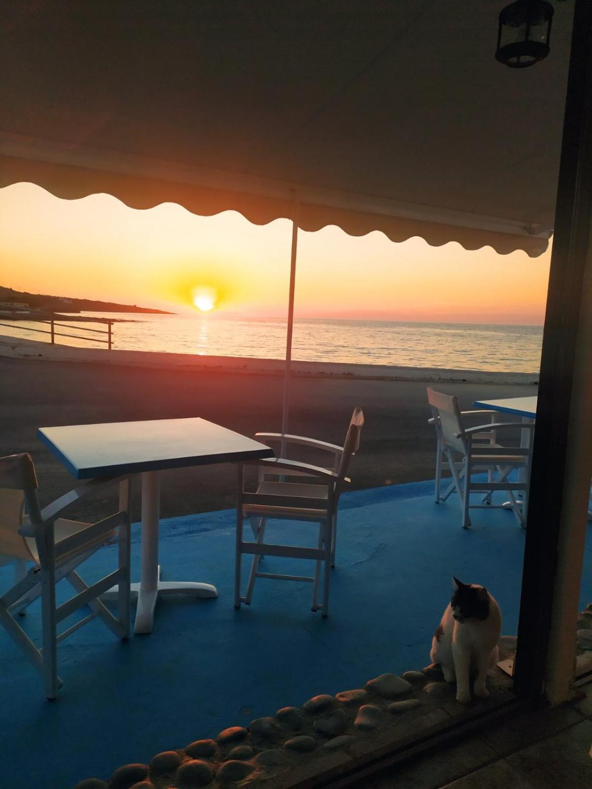 Meltemi Beach Apartments Milatos Zewnętrze zdjęcie