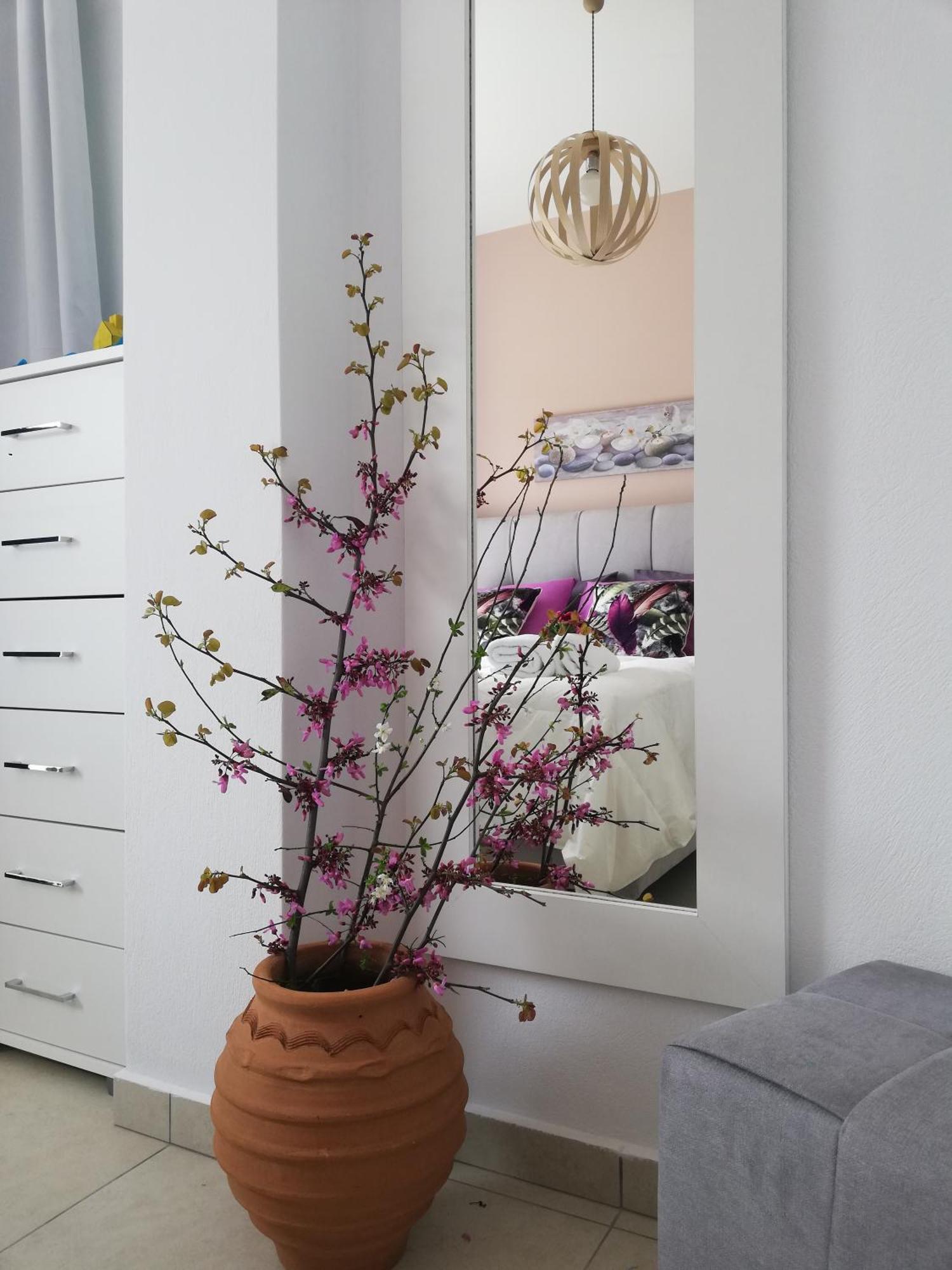 Meltemi Beach Apartments Milatos Zewnętrze zdjęcie